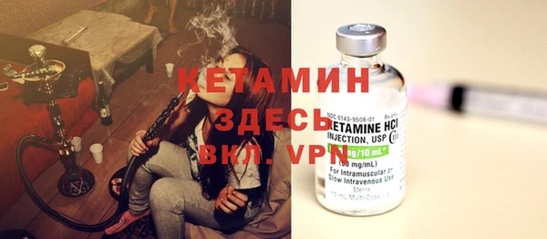 трава Новозыбков