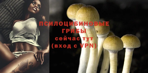 тгк Новокубанск