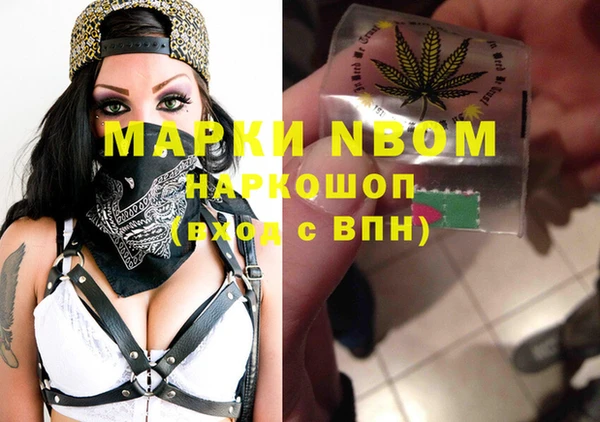 стафф Новодвинск