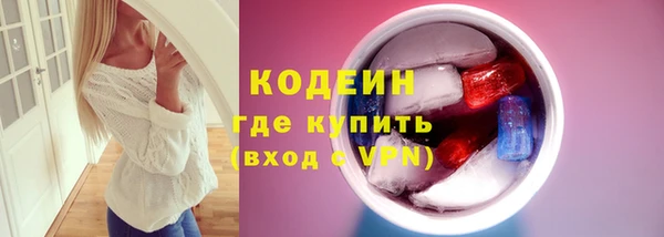 стафф Новодвинск