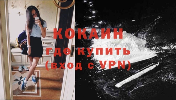 стафф Новодвинск