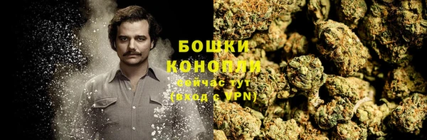 трава Новозыбков