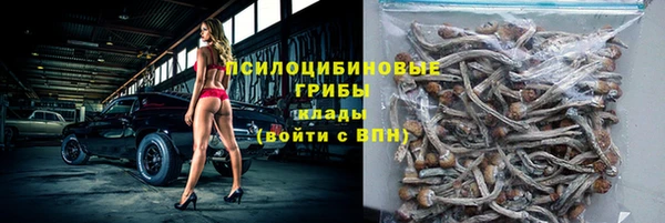 тгк Новокубанск